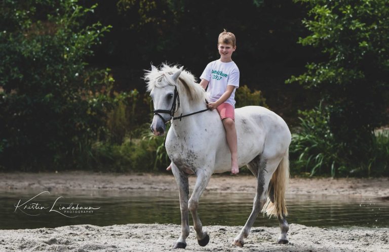Fiete im See Hier ist ein Bild zusehen wo Fiete auf seinem Pony sitzt mit in einem See auf der Sandbank