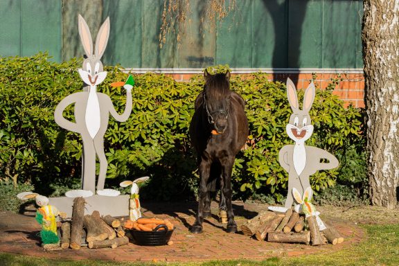 Charly Schulpony Charly