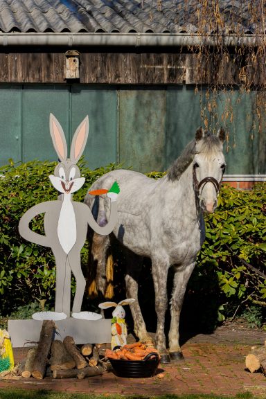 Charlotta Schulpony Charlotta