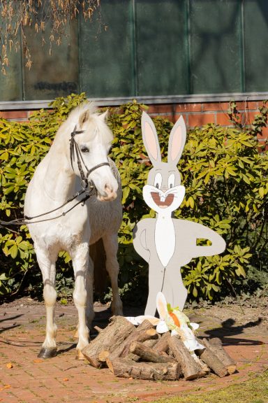 Little Milton Schulpony Little Milton