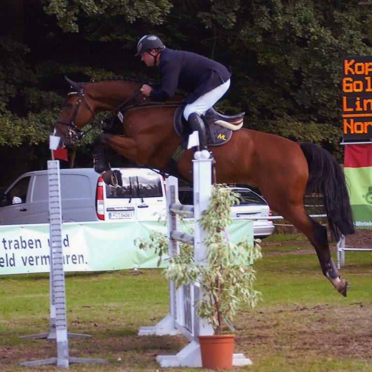 Leben Auf diesem Bild kann man Michael und Goldwyn über einen Sprung sehen in Nordhorn sehen, in einer Springprüfung der Kl. S