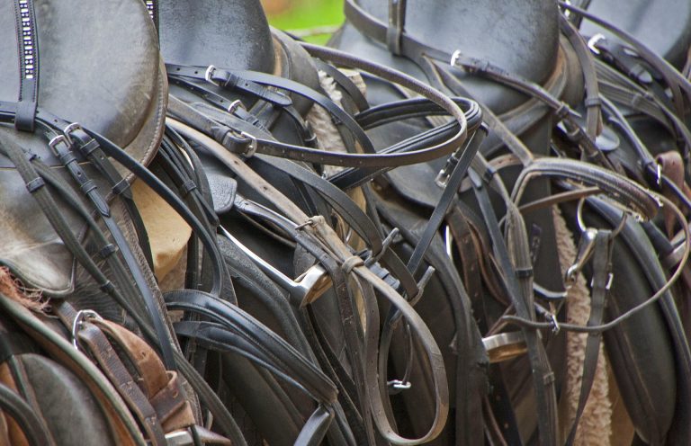 Schulbetrieb Hier wird ein Bild gezeigt wo man verschiedene Sättel und Trensen sehen kann.