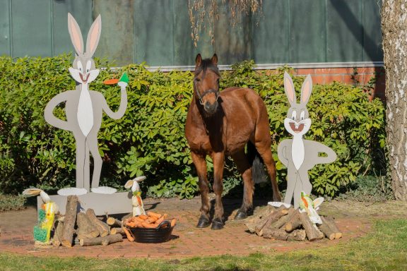 Casper Schulpony Casper