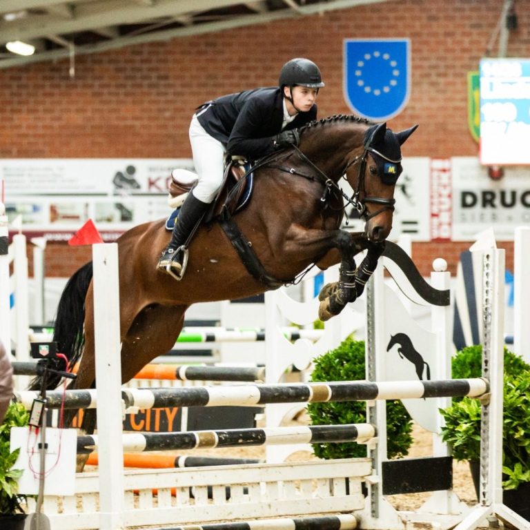 Verkaufspferd Hier wird unser Verkaufspferd Conelly gezeigt.