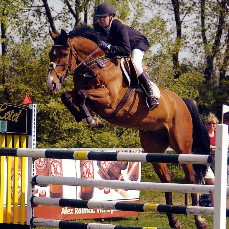 Leben Auf diesem Bild kann man Inga und Golwyn sehen über einem Sprung.