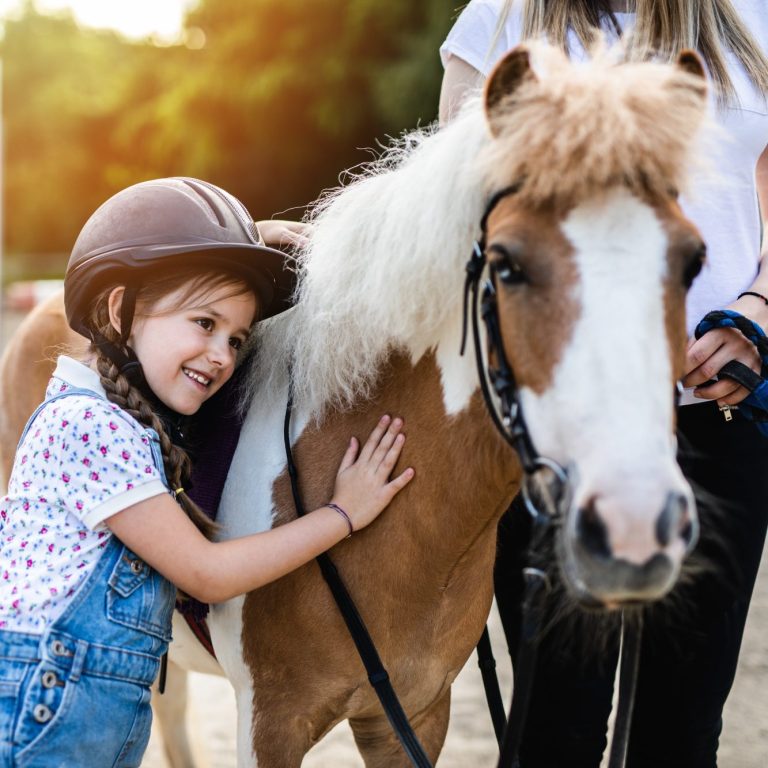 Turnierbild Come Quiet mit Meike Tibbe über einen Sprung.